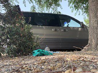 NAKED CAR WASH \/ Naked Traveler